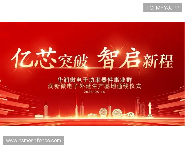 尊龙集团网页版登录官网首页功能特色及操作步骤全方位解析