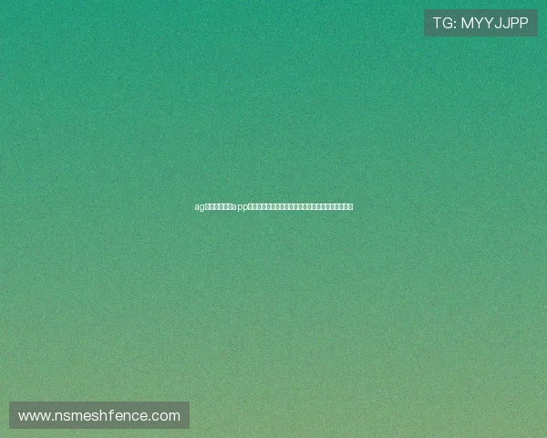 ag九游登录官网app：世界杯期间体育新闻实时推送与精彩瞬间集锦推荐